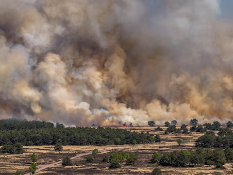 Zo zag de brand er gisteren uit 