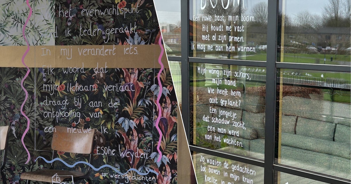 Meer dan 80 inwoners zetten gedichten op hun ramen tijdens Poëzieweek in Tongeren-Borgloon