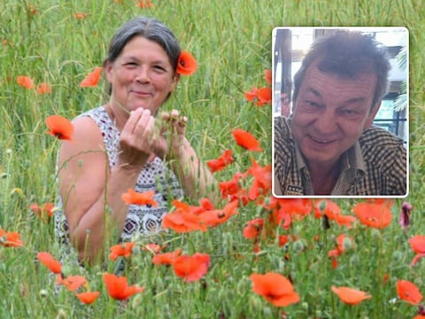 Kristin Pickery (68) uit Brugge werd twee jaar geleden in Frankrijk aangevallen door een zwerm Europese hoornaars, waarna ze stierf. Inzet: Eddy ligt sinds donderdagavond in coma na een aanval door Aziatische hoornaars in Ninove.