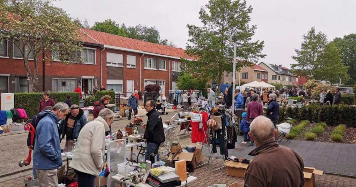 Garageverkoop met 150 standen in Schelle