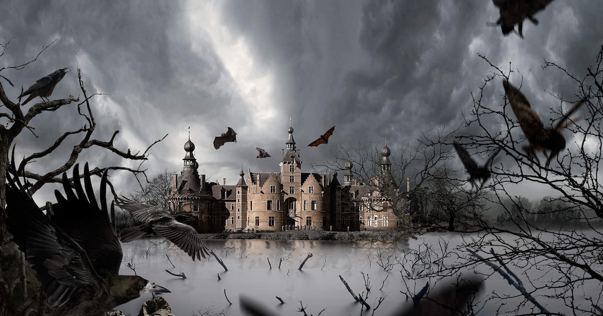 Horrorfestival voor het hele gezin: Elftopia krijgt halloweeneditie ...