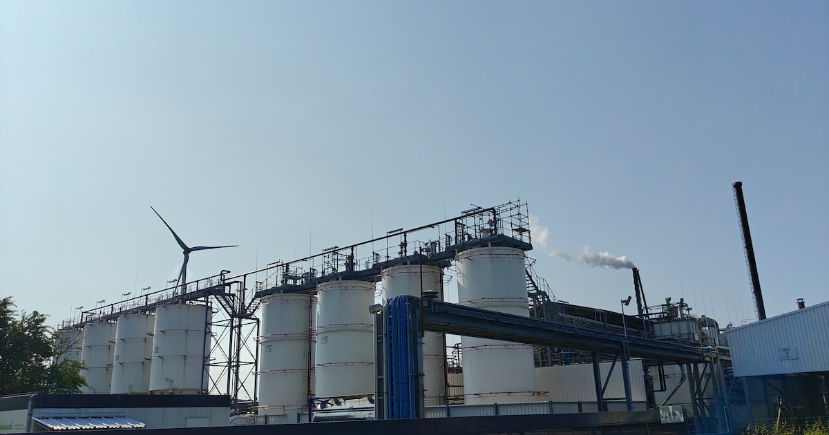 Indaver gaat bodem en gewassen verder monitoren in haven van Antwerpen ...