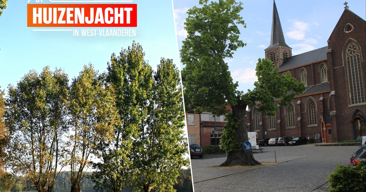 HUIZENJACHT. De charme van landelijk Dentergem, waar steeds meer jonge ...