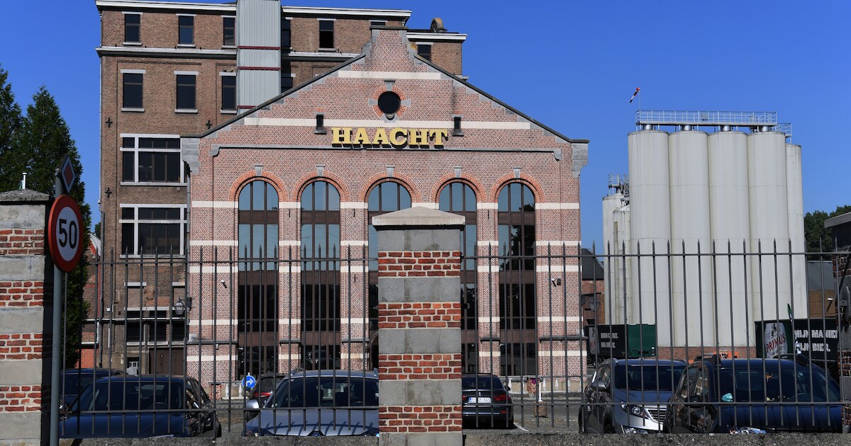 Vakbonden reageren weinig verrast na ontslagronde Brouwerij Haacht: “De ...