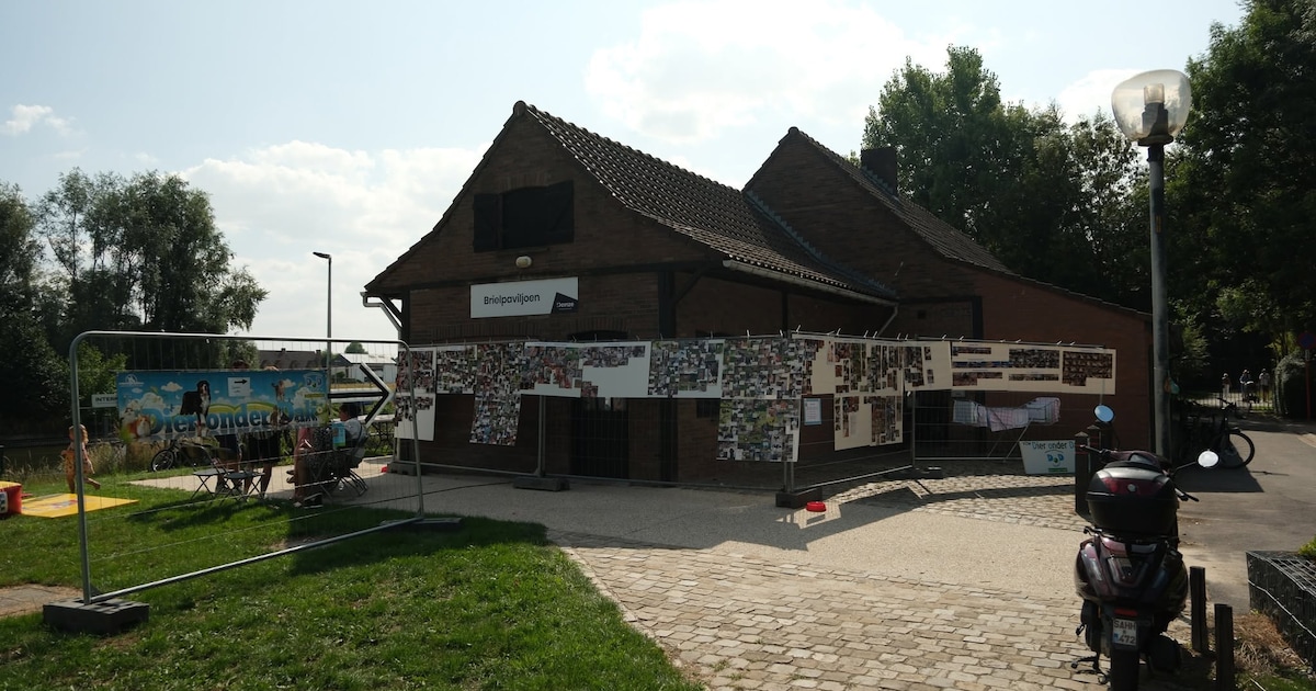 Pannenkoekenbak ten voordele van Dier onder Dak