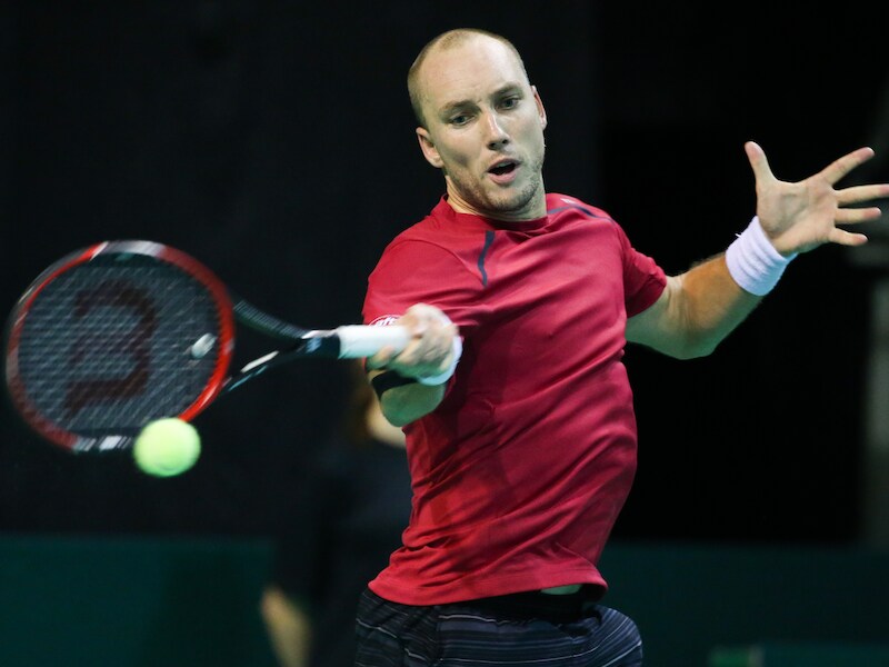 Steve Darcis