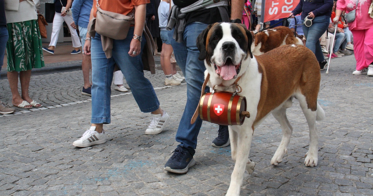 KIJK. Sint-Bernardusfeesten trekken veel mensen én honden naar Nieuwpoort