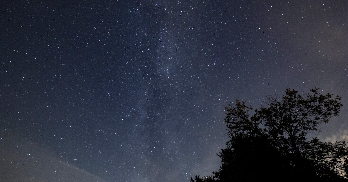 Wat te doen in regio Mechelen dit weekend? Van sterren kijken in het Vrijbroekpark tot lichtstoet