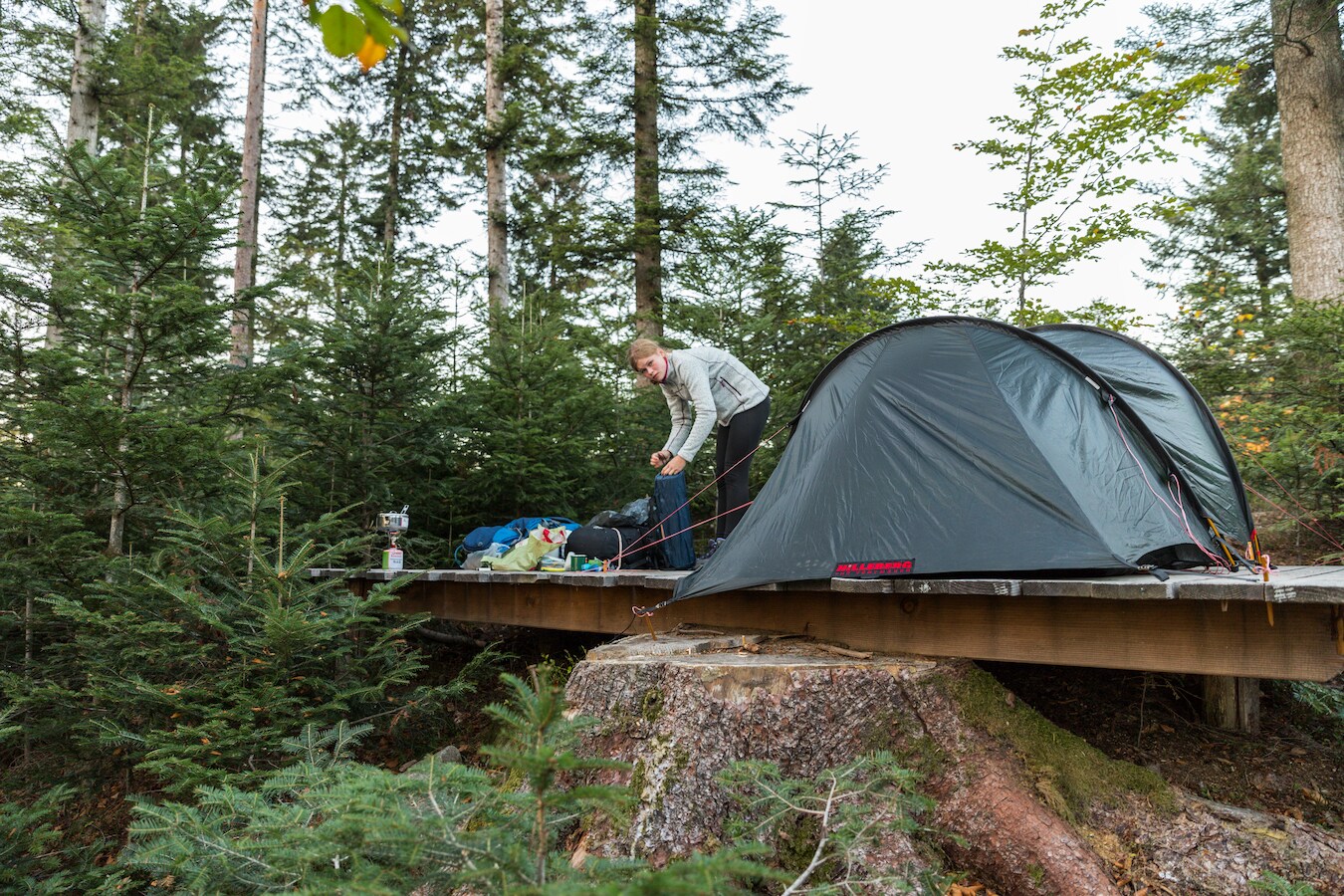 dachzelt 160 breit VELA Dachzelt