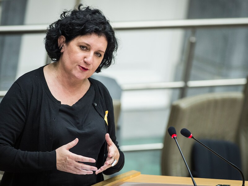 Vlaams minister van Energie Annemie Turtelboom (Open Vld).