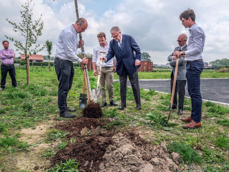 Prins Laurent stond de zaakvoerders van Polet en De Pypere vooral met raad bij tijdens het planten van de notelaar. 