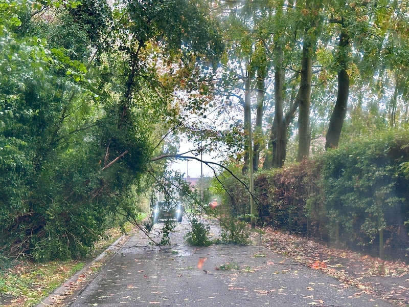 Afgewaaide tak aan de Durmstraat