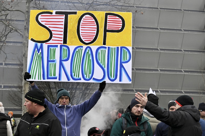 Protesta de agricultores franceses contra Mercosur en el Parlamento Europeo en Estrasburgo. (21/01/2026)