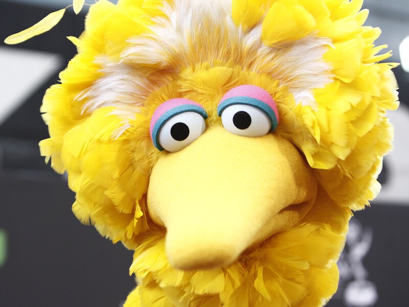 De Amerikaanse Big Bird.
