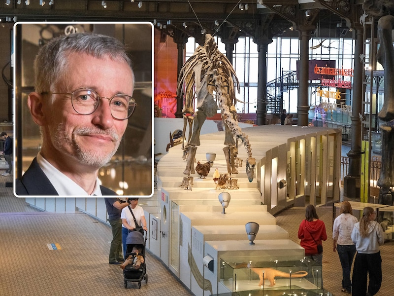 Archiefbeeld van het Museum voor Natuurwetenschappen in Brussel. Inzet: Algemeen directeur Michel Van Camp van het Koninklijk Belgisch Instituut voor Natuurwetenschappen.