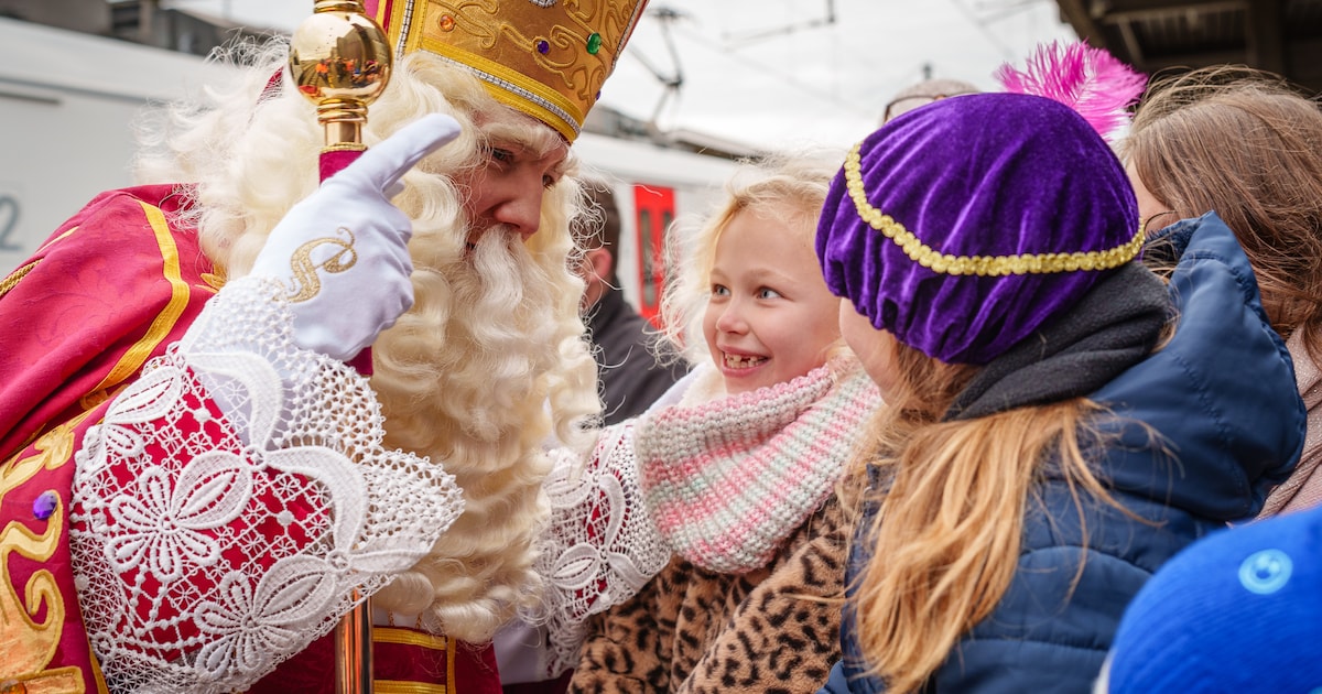 Wat te doen in regio Mechelen in het weekend van 22 en 23 november? Van Nationale Vogelshow tot een 