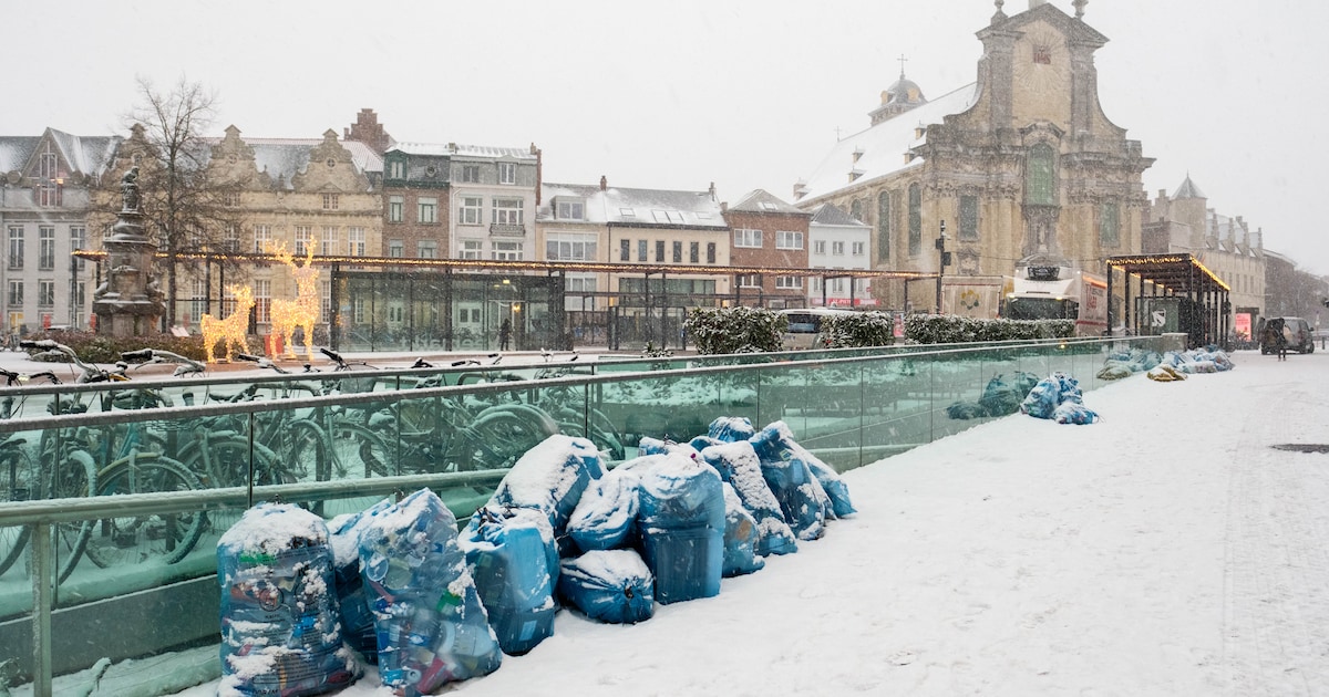 Afvalophaling verstoord door sneeuwval: “Laat je afval tot 19 uur buiten staan”