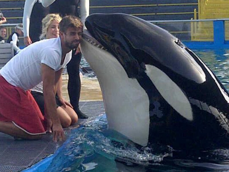 © Facebook Gerard Piqué