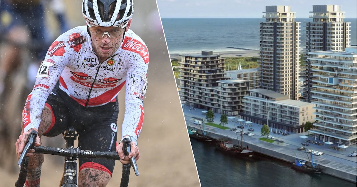 Wat te doen in Brugge en aan de kust dit weekend: van kerstmagie op Oosteroever tot wintertrein in N