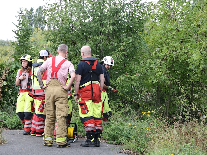 Lichaam aangetroffen in Schelde, hulpdiensten ter plaatse