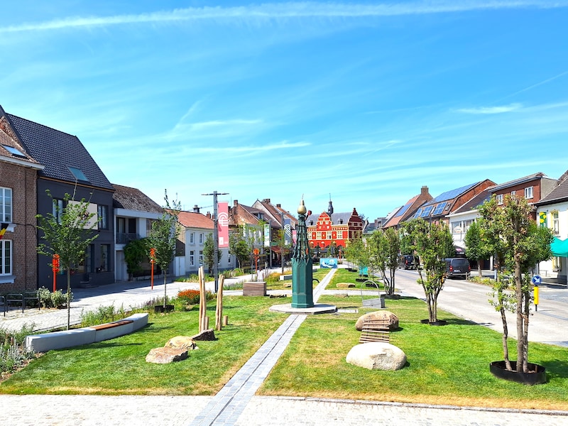 Peer onthardt meer dan 5.500 m²: inwoners halen samen met de stad ruim het doel van één voetbalveld