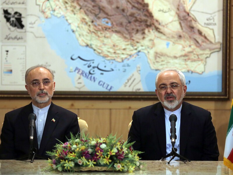 Iranian Foreign Minister Mohammad Javad Zarif (R) and the head of Iran's Atomic Energy Organization Ali Akbar Salehi (L)