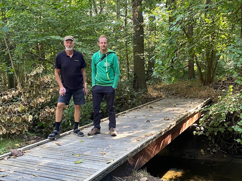Nieuwe wandelbrug aan het Uilenbos in Hove