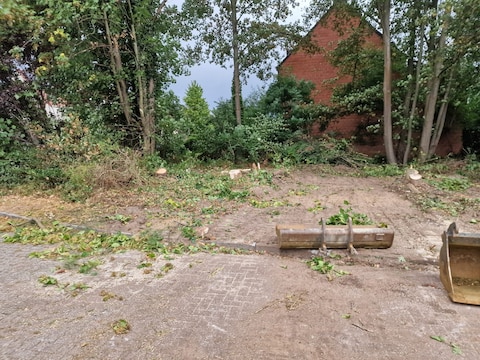 Op de site van het Q8-tankstation aan de Liersesteenweg in Mortsel werden zes bomen gekapt zonder vergunning.