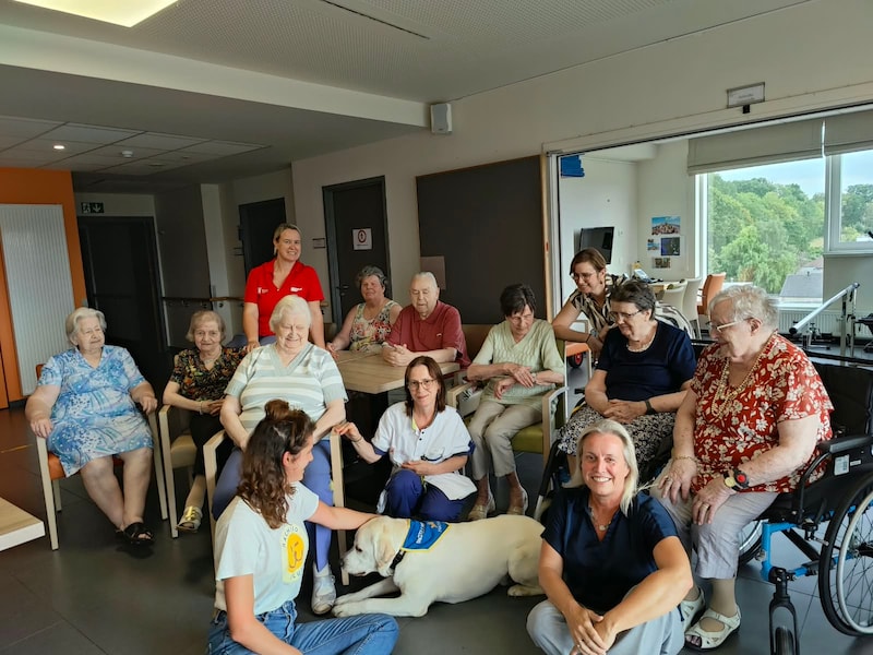 Woonzorgcentrum Ter Leen verwelkomt instellingshond Valeir: “Hij wordt een volwaardig lid van ons team”