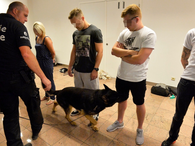 Drugshonden besnuffelen festivalgangers van Tomorrowland nadat ze door de politie op Zaventem op een rij zijn gezet.