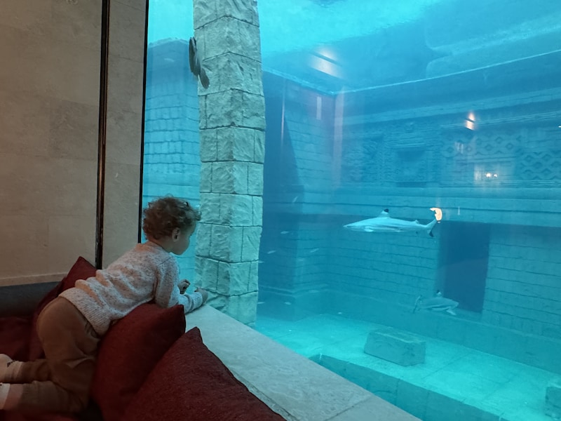 1.290 euro voor &eacute;&eacute;n overnachting in hotel Pairi Daiza-serre: is dat het  waard? Wij testen het uit | Reizen | HLN.be