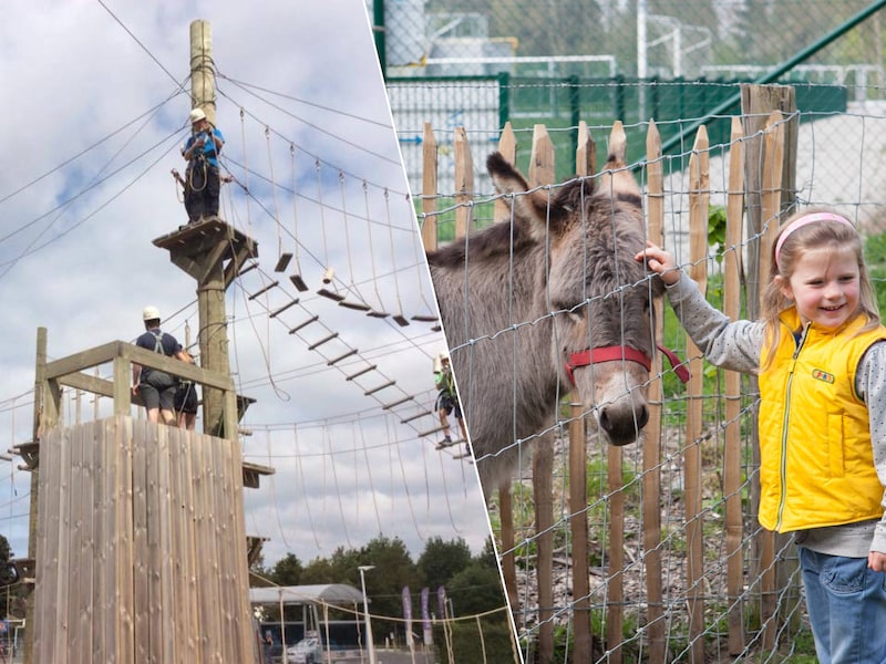 5 vakantietips aan de kust deze woensdag: van een hoogteparcours tot een bezoek aan de kinderboerderij